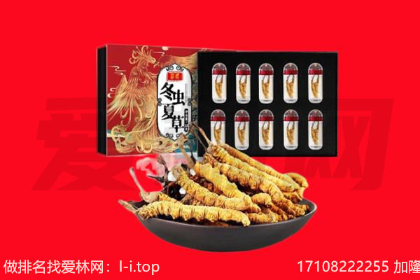头屯河区回收虫草.jpg